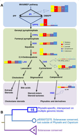 1658920691907797.png 6.png